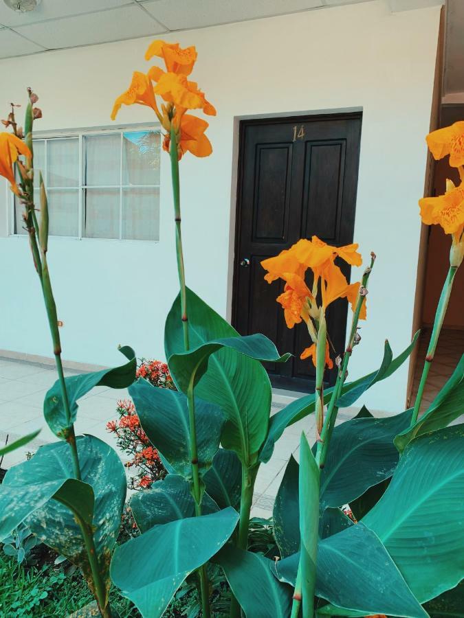 Hotel Santa Elena Antiguo Cuscatlán Dış mekan fotoğraf